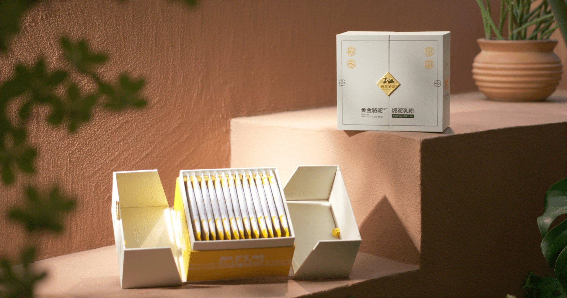 定位小众高端乳粉，AG贵宾会推出驼奶品牌“黄金骆驼+”，角逐乳品新市场！